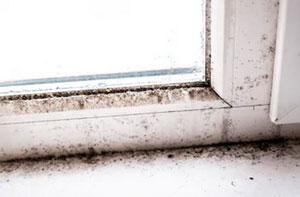 Condensation Damp Maidenhead UK (01628)
