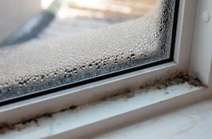 Condensation Damp Redditch UK (01527)