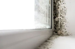 Damp Proofing Specialists Bath UK